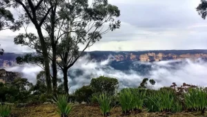 CHAPA Catering Allview escape venue Blue Mountains