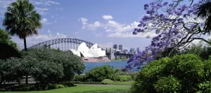 chapa catering royal botanic gardens venue sydney