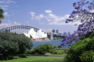 chapa catering royal botanic gardens venue sydney